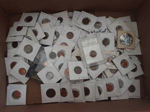 lot 110 image: Large Lot Of Wheat Cents Slabbed 1909-1958. Most UNC.