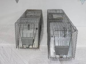 2 Piece Lot of Animal Live Traps