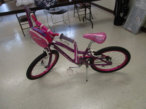Girls Schwinn Bike