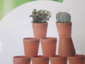 lot 296 image: 20 Small Succulent Pots...