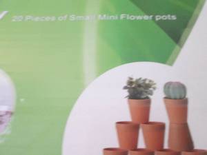 lot 311 image: 20 Small Succulent Pots...
