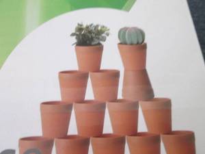 lot 313 image: 20 Small Succulent Pots...