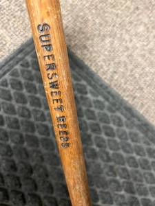 lot 300 image: Super Sweet Seeds Cane