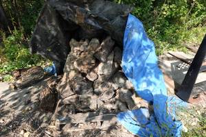 Applewood Chunks for Smoking Meat
