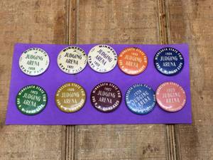 lot 234 image: Antique MN State Fair Judging Arena Pins 1920-1929