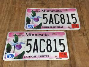 lot 244 image: Pair MN Critical Habitat License Plates - Collectable