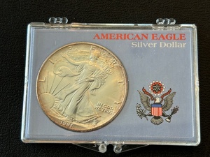 1991 Silver Eagle