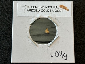 Arizona Gold Nugget
