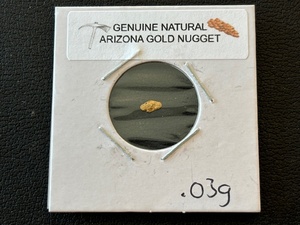 Arizona Gold Nugget