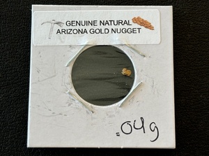 Arizona Gold Nugget