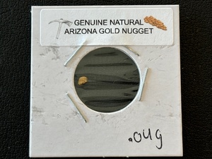 Arizona Gold Nugget