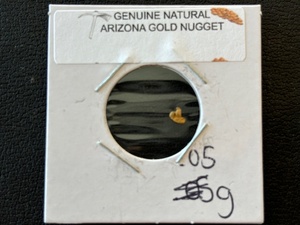 Arizona Gold Nugget