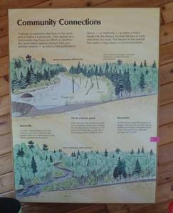 lot 32 image: Large wood educational picture from the original UofMN Bell Museum 37x49