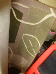 lot 249 image: 5x7 rug