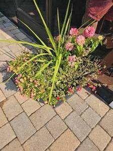 lot 50 image: Veradek Squat Modern Resin Low Planters (Two)