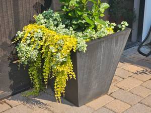 lot 51 image: Veradek Modern Resin Large Planter