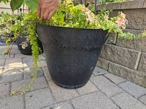 lot 97 image: Potted Trellis Pair