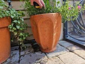 lot 99 image: Terracotta Planters Grouping of Medium Ribbed Planters
