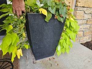 lot 49B image: Modern Pair of Tail Resin Planters