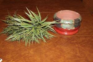 lot 48 image: Decorative Ceramic Planter with Faux Greenery