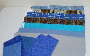 SkateboardsBMX Bikes Skates And Blue  Cotton Fabric. Approx. 10 yds.
