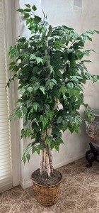 lot 100 image: Faux Ficas Tree