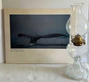 lot 42 image: Vintage Whale Poster Wall Decor With ABCO #2 Kerosene Oil Lamp and Shade
