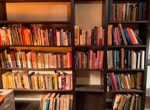 lot 176 image: Huge Lot of MCM Books Paperbacks, Classics, Travel, Animals & More