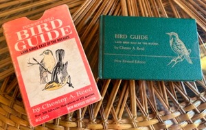 lot 136 image: Vintage 50s MCM Miniature POCKET FIELD BIRD GUIDE In Slip Case