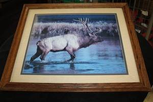 Wall Art - Elk , Wood FrameDouble Matte