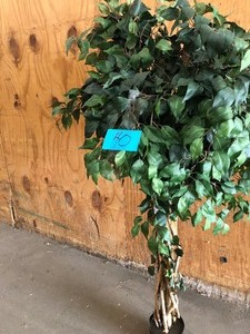 4 Ficus Auriculata Artificial Silk Tree customer return