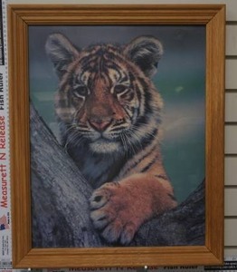 lot 248 image: Tiger print