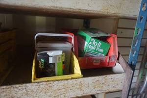 Lot of Assorted Nails and Fasteners
