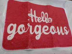 19 x 27 New Gorgeous Floor Mat...