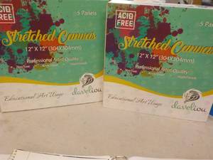10 Daveliou 12 x 12 Stretched Canv...
