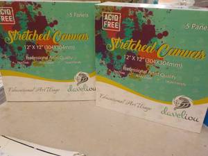 10 Daveliou 12 x 12 Stretched Canv...