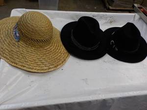 Mens and Womens Hats...