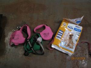 3 dog leashes and pads...