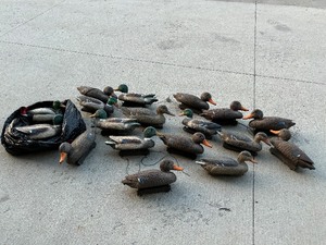 Duck Decoys