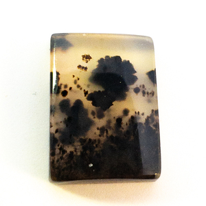 lot 320 image: MOSS AGATE  - 4.99ct. Rectangular Slab Cut