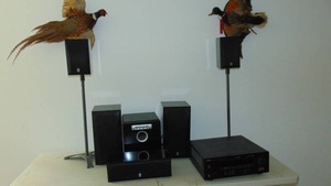 lot 136 image: 7 Piece Yamaha Sound System