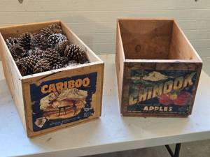 lot 569 image: Vintage Cariboo and Chinook Apple Crates with Pinecones