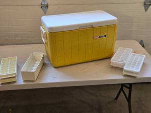 lot 580 image: Coleman Yellow Polylite Cooler with Ice Trays