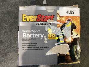 lot 568 image: Everstart Platinum Power Sport Battery