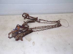 lot 38 image: 5 Gopher Traps