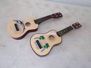 lot 199 image: Pair of Hawaii Music Instruments