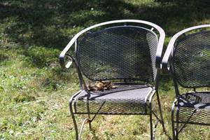 lot 132 image: Set of 4 Metal Mesh Outdoor Patio Chairs