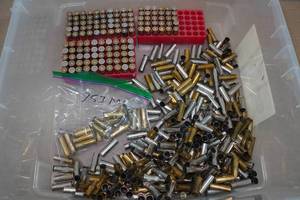 lot 187 image: Empty .357 Mag Casings - Some Primed - Some .38 Spl