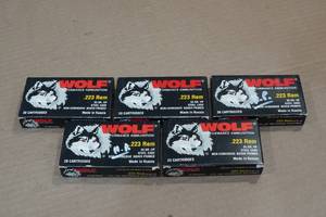 lot 248 image: 100 Wolf .223 Rem 55 Gr HP Steel Case Ammo
