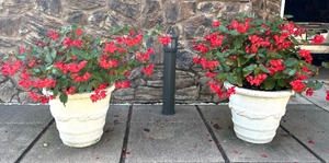 lot 4 image: Pair of Large Cement Planters